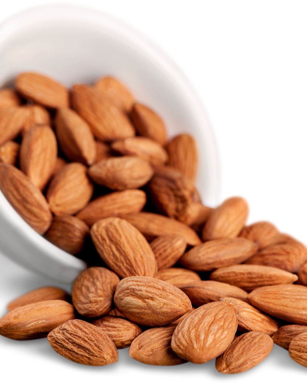 Banana Powder Manufacturers and Suppliers